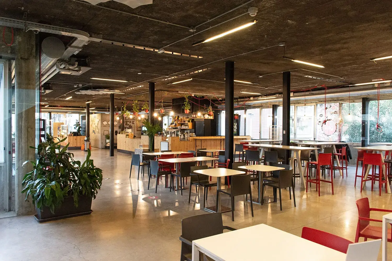 Talent Garden Studios - Area Cafè 01